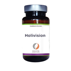 Holivision – 1 mois