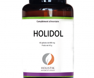 Holidol