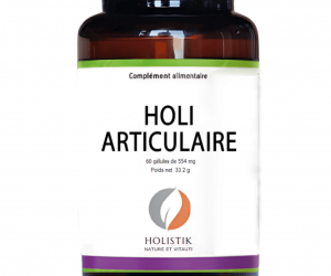 Holi Articulaire